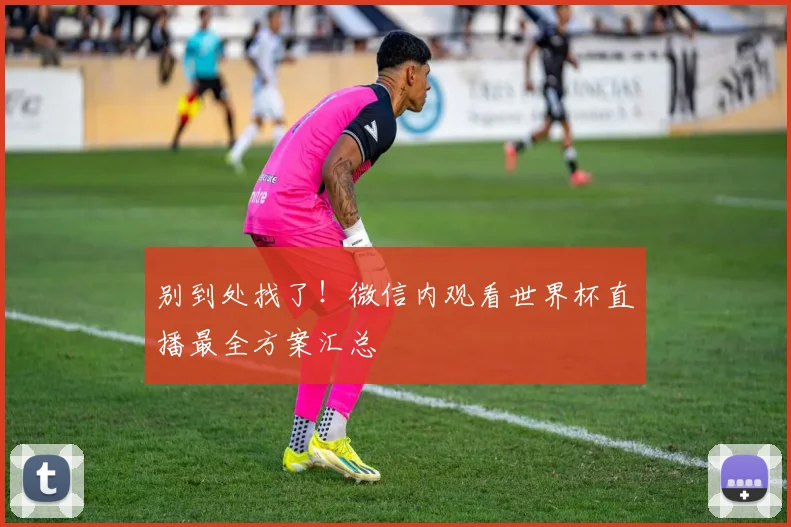 别到处找了！微信内观看世界杯直播最全方案汇总