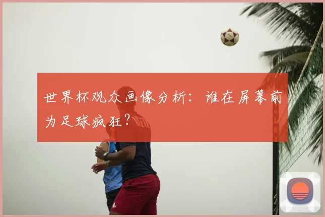 世界杯观众画像分析：谁在屏幕前为足球疯狂？