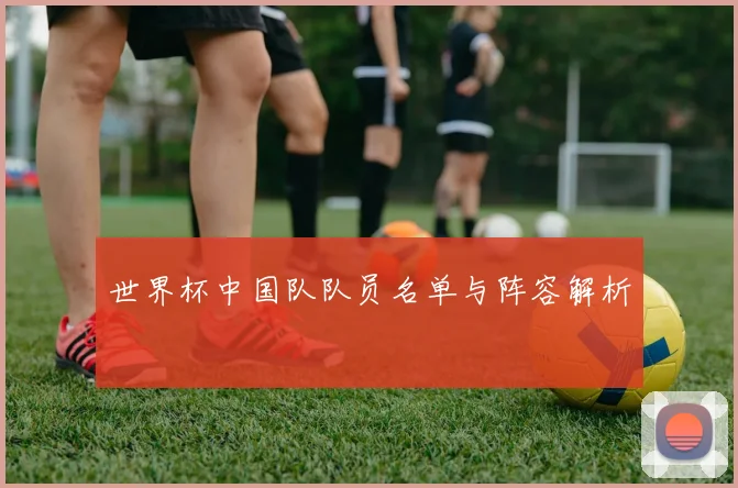世界杯中国队队员名单与阵容解析