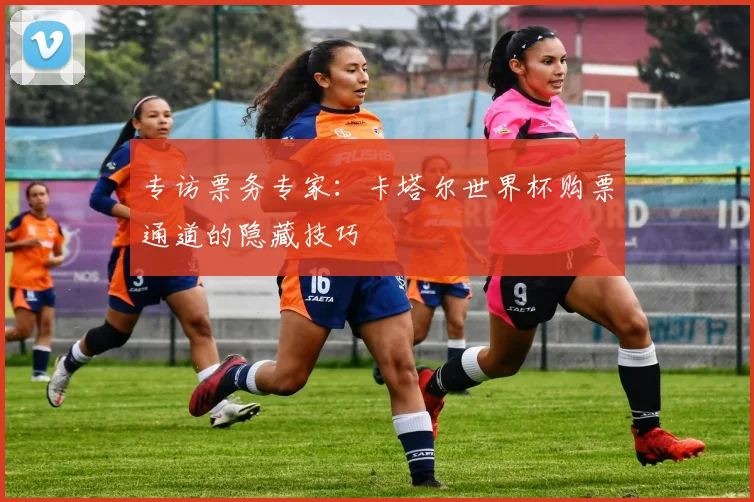 专访票务专家：卡塔尔世界杯购票通道的隐藏技巧