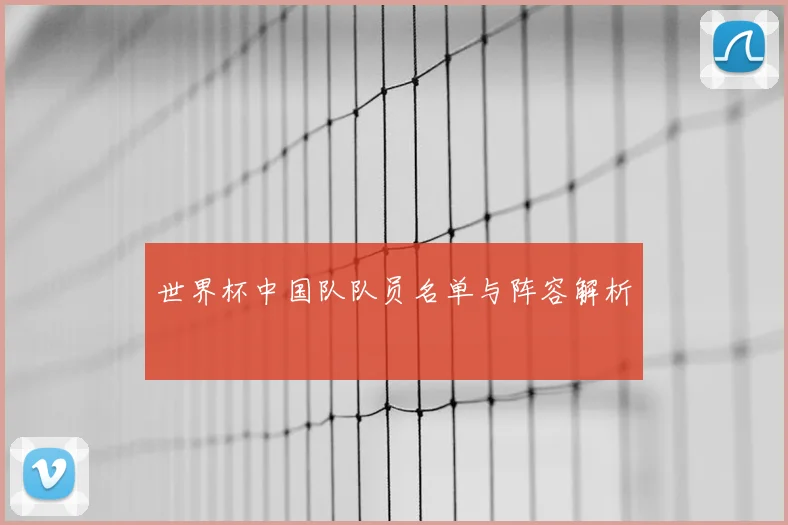 世界杯中国队队员名单与阵容解析