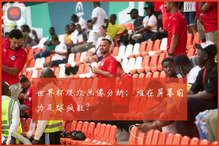 世界杯观众画像分析：谁在屏幕前为足球疯狂？