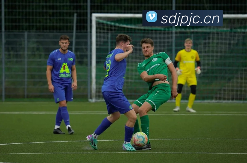 多彩内容专区